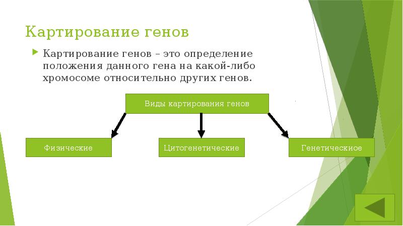 Картирование это. Картирование генов. Картирование генома. Методы картирования генома. Этапы генетического картирования.