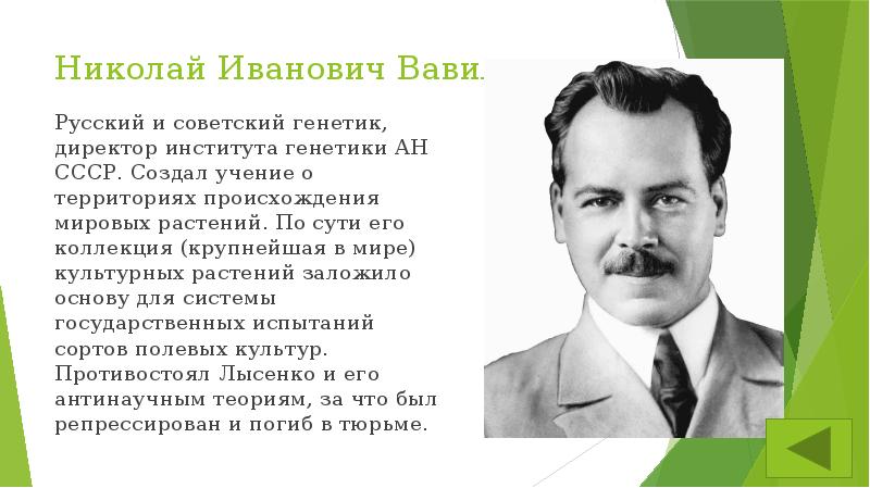 Презентация вавилов николай иванович вклад в науку