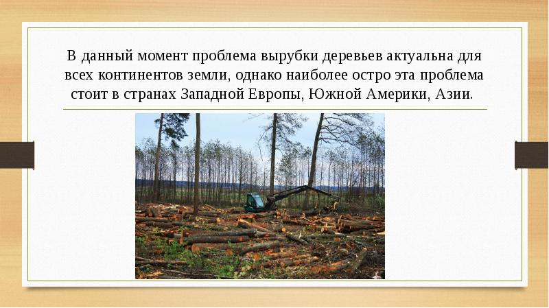 Вырубка лесов проект