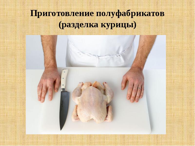 Презентация блюда из мяса птицы