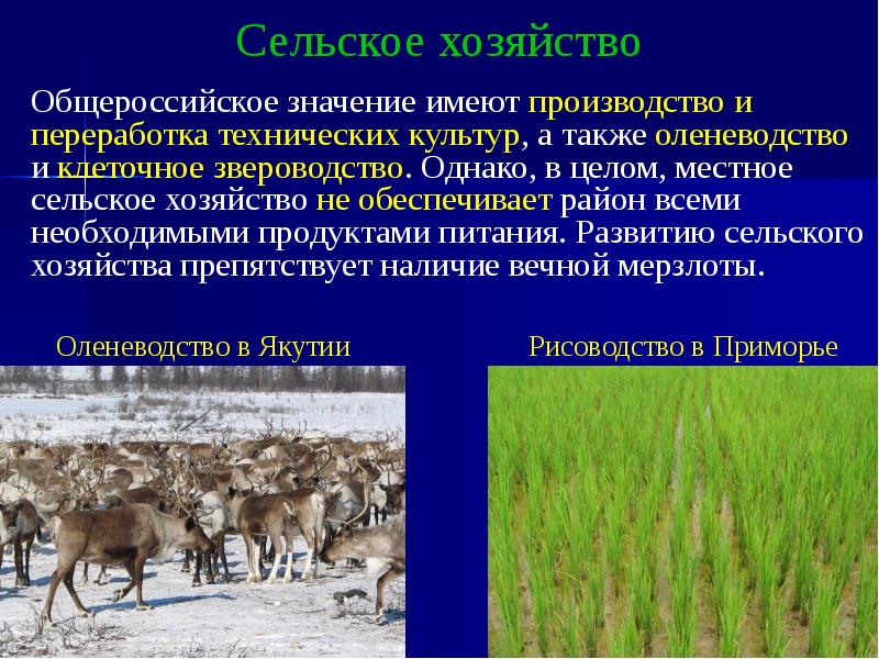 Презентация население и хозяйство дальнего востока