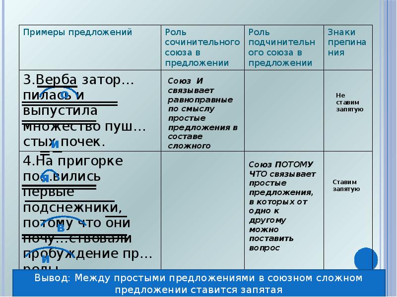 Предложения с союзом прежде чем. Запятая между простыми предложениями в Союзном сложном предложении. Запятая между простыми предложениями в сложном предложении 7 класс. Запятая в Союзном сложном предложении 7 класс.