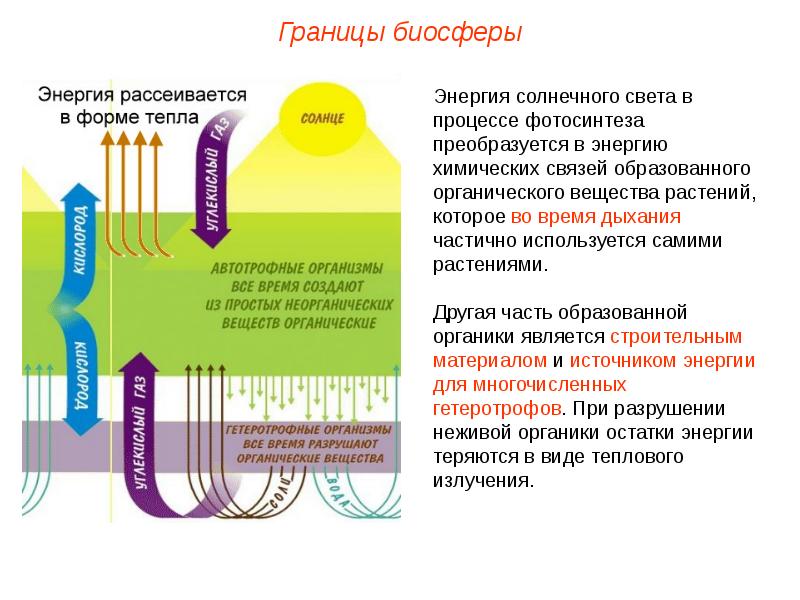 Проект охрана биосферы