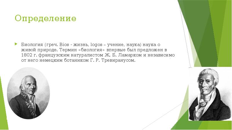 Документ с каким именем является презентацией биология доклад