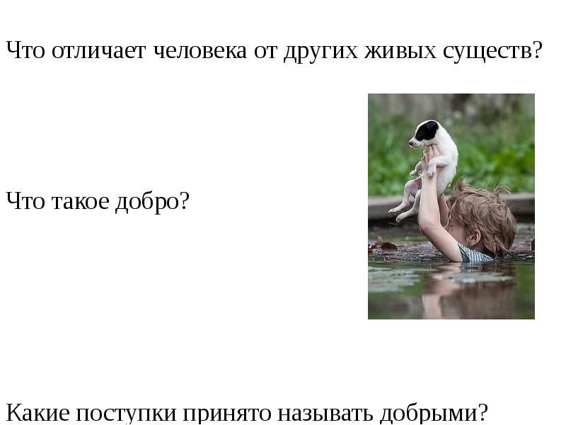 Что отличает человека от других живых существ. Что отличает человека от других живых существ что такое добро. Человека от всех других существ отличает.... Чем человек отличается от живого существа поступками. Каждый человек отличается от другого.