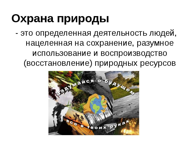 Закон на страже природы презентация 7 класс