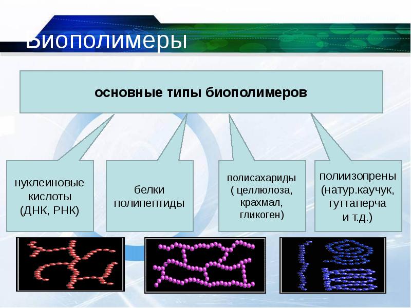 Биополимеры