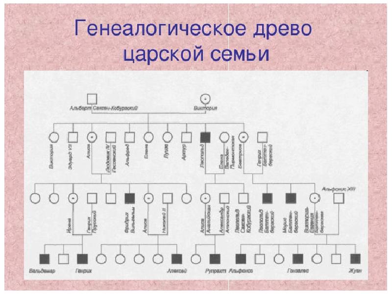 Проект генеалогическое древо 11 класс