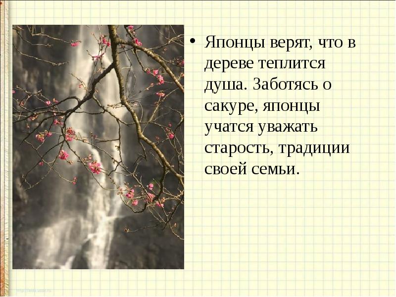 В кого верят японцы. Стих про сакуру. Сообщение о Сакуре. Сочинение про сакуру.