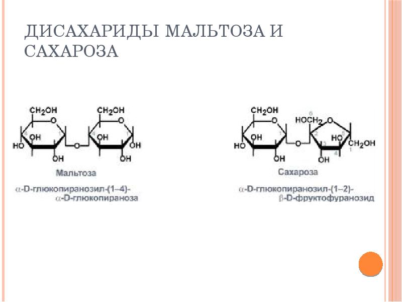 Химия дисахариды презентация