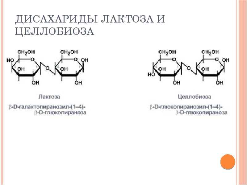 Химия дисахариды презентация