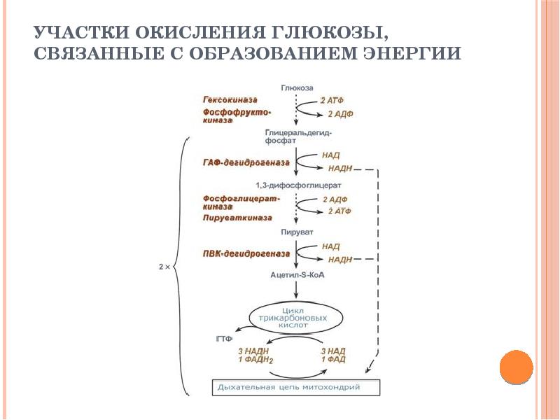 Процесс окисления показан схемой