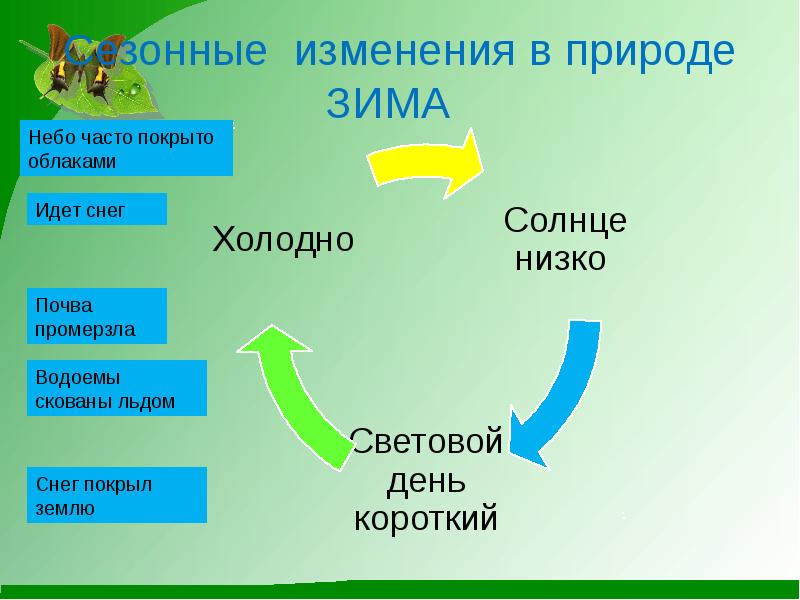 Что такое природа 5 класс презентация