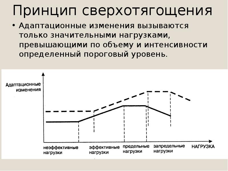 Презентация биохимические закономерности адаптации к мышечной работе