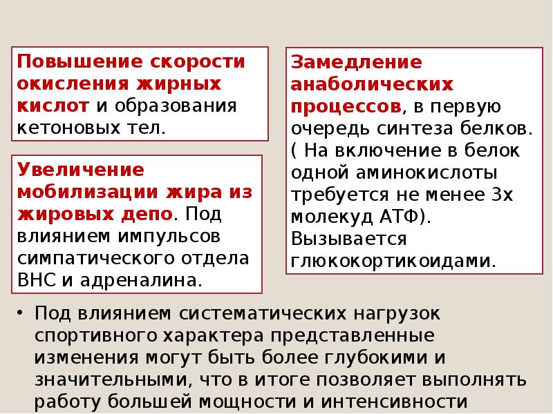 Презентация биохимические закономерности адаптации к мышечной работе