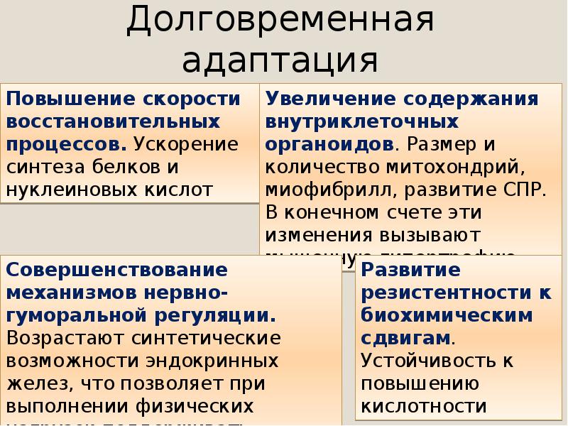 Презентация биохимические закономерности адаптации к мышечной работе