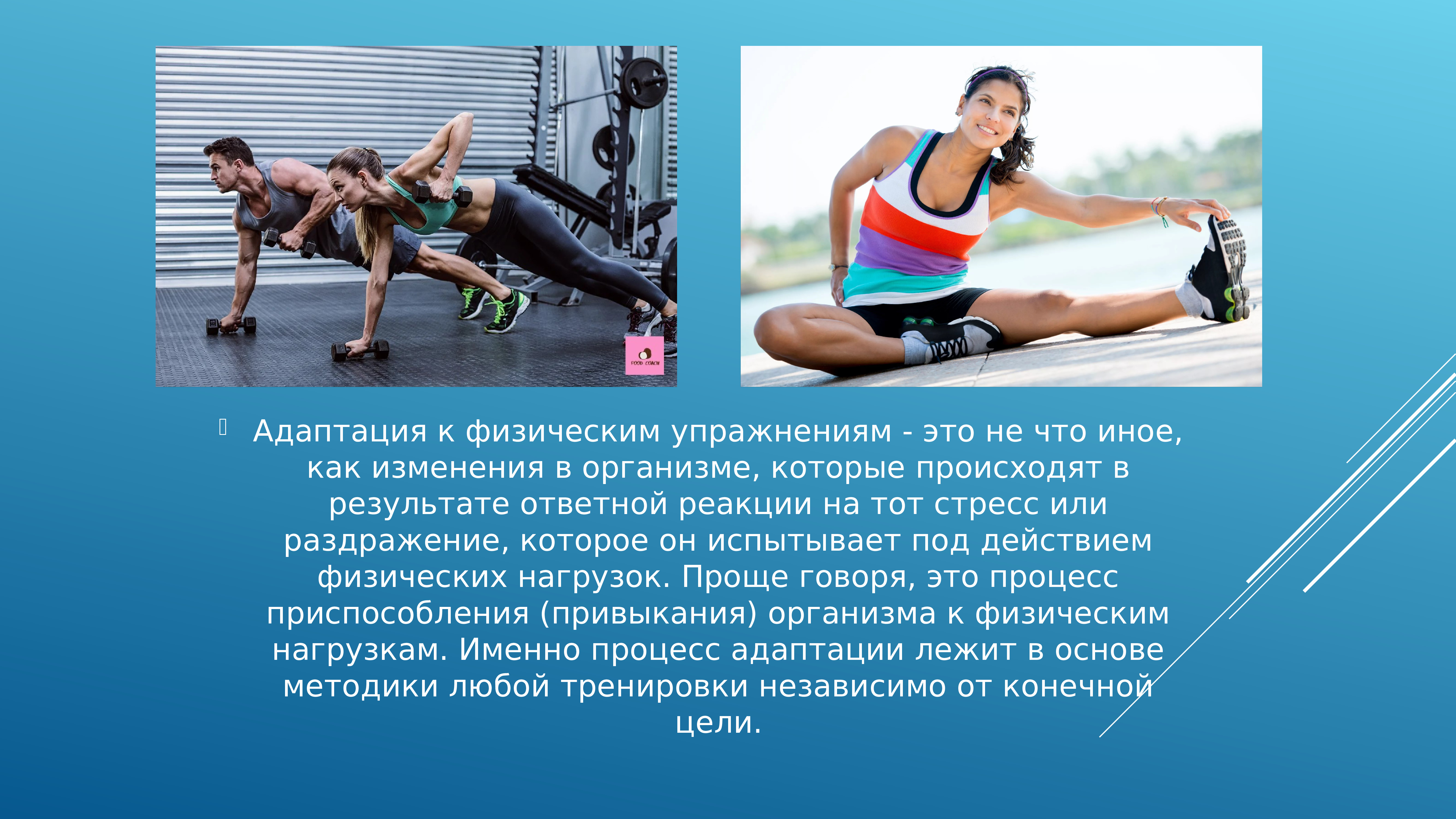 Повышение работоспособность спортсмена. Адаптация к физическим нагрузкам. Адаптация организма к физическим упражнениям. Физические нагрузки. Механизм адаптации к физическим упражнениям.