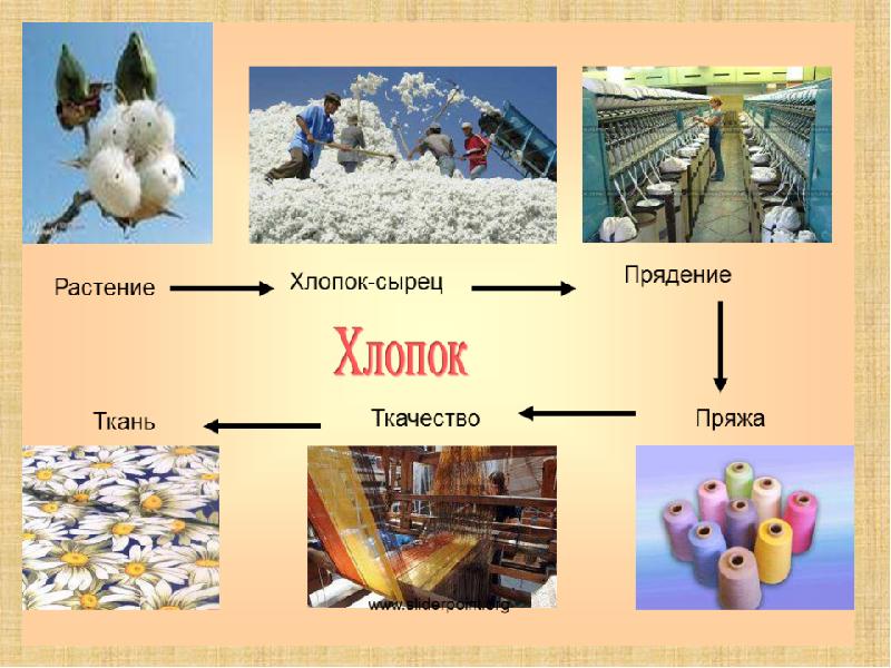 Хлопок описание на картинке