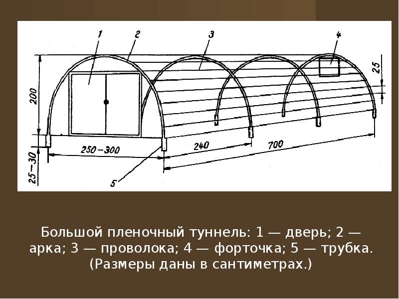 Схема балагана для клубники