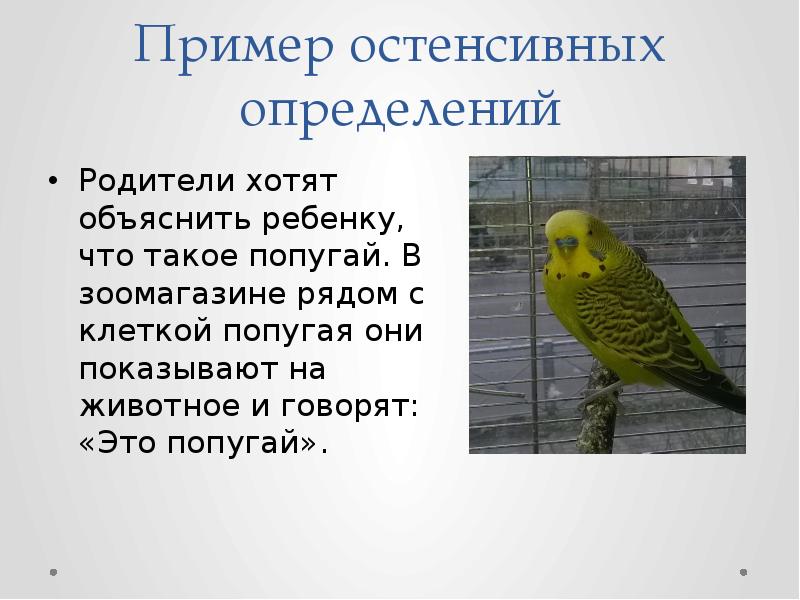 Пример остенсивных определений Родители хотят объяснить ребенку, что такое попугай. В