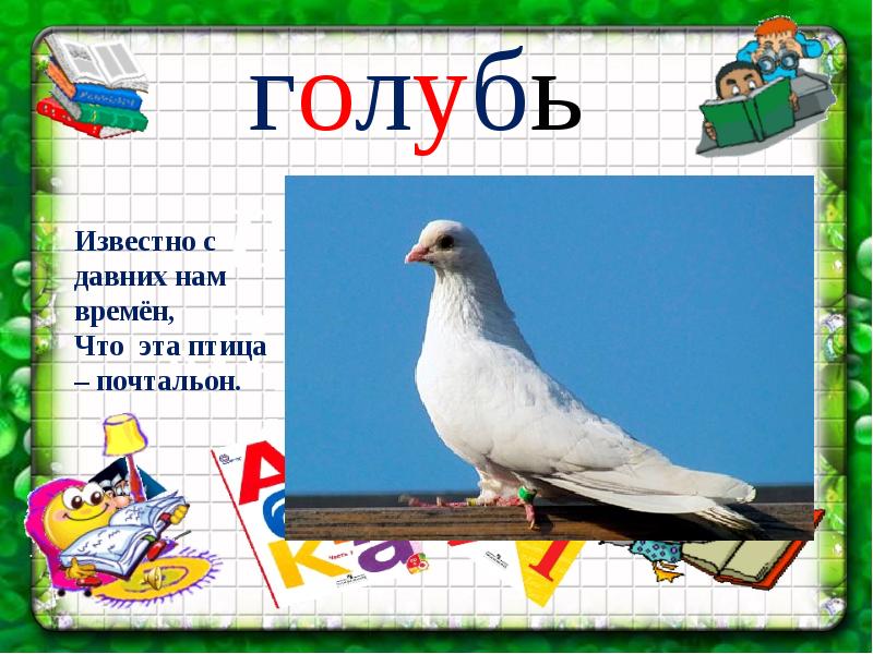 Птица ь. У какая птица есть буква ь. Буква ь презентация 1 класс школа России.