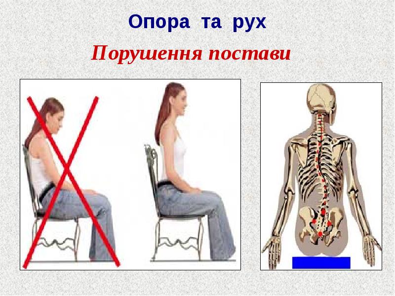 Опорно рухова система