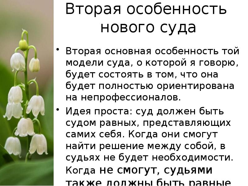 Вторая основная