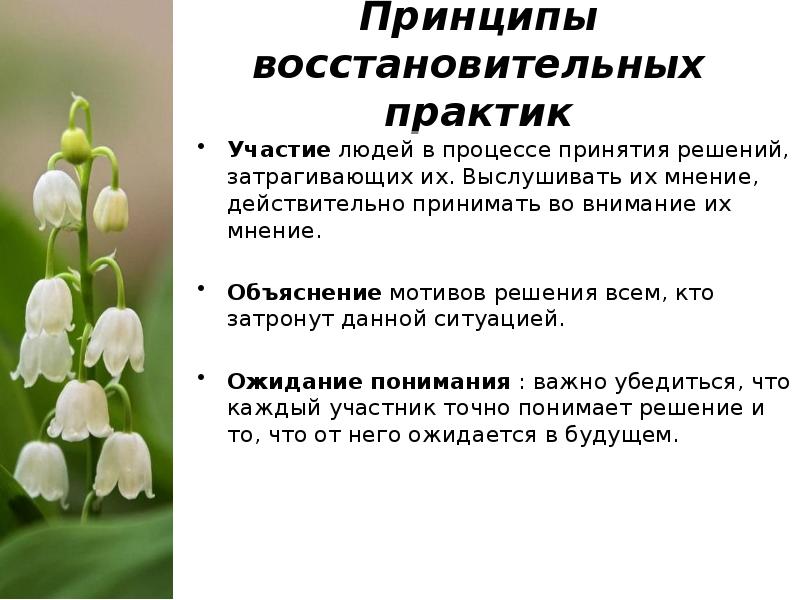 Затронуты данным решением