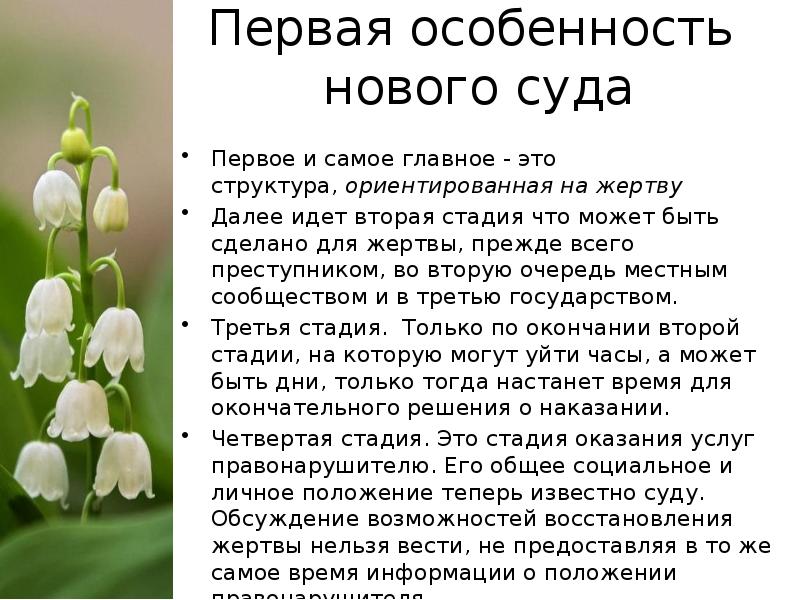 Особенно первое. Первая особенность.