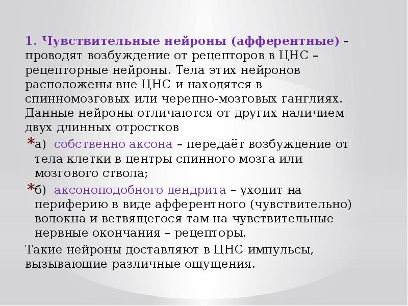 По чувствительному нейрону возбуждение передается