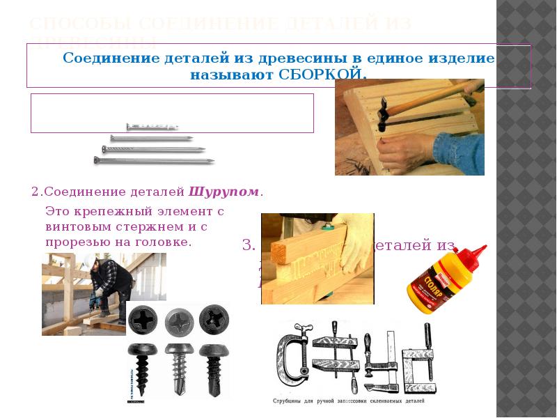 Древесина 5 класс технология презентация