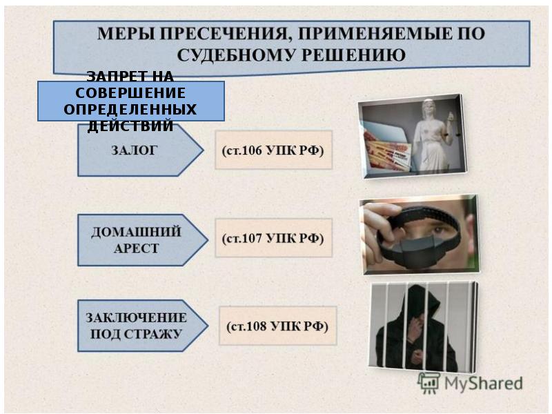 Меры процессуального принуждения презентация