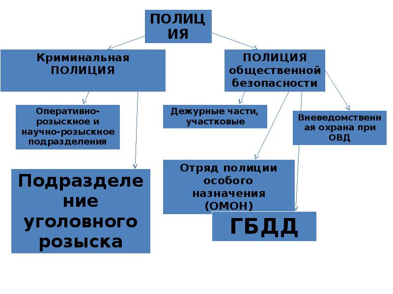 Схема структуры полиции