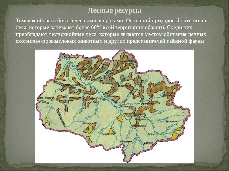 Физико географическая карта томской области