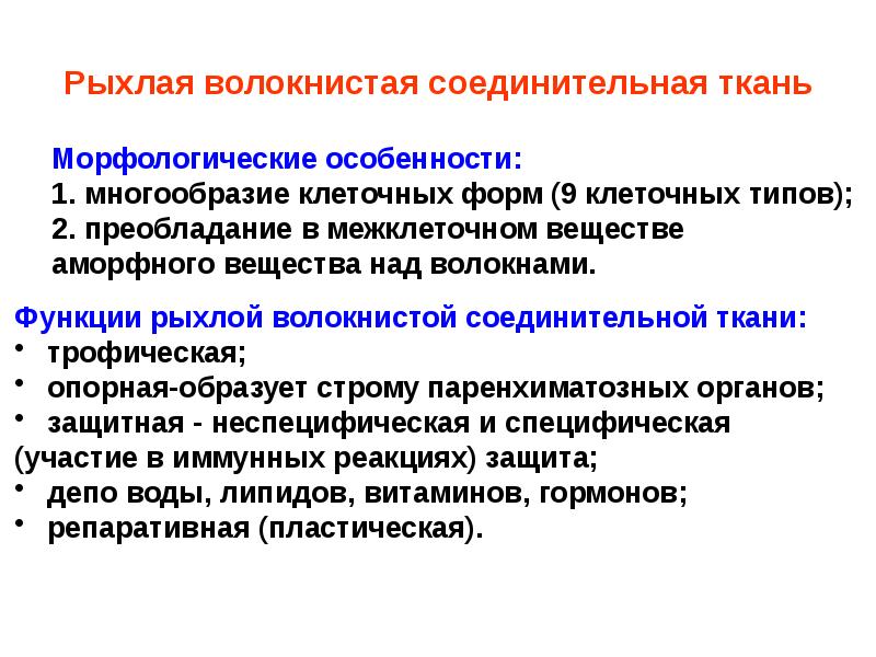 Особенности волокнистой соединительной ткани. Рыхлая волокнистая соединительная ткань функции. Рыхлая соединительная ткань функции. Рыхлая волокнистая ткань функции. Основные морфологические признаки соединительной ткани.