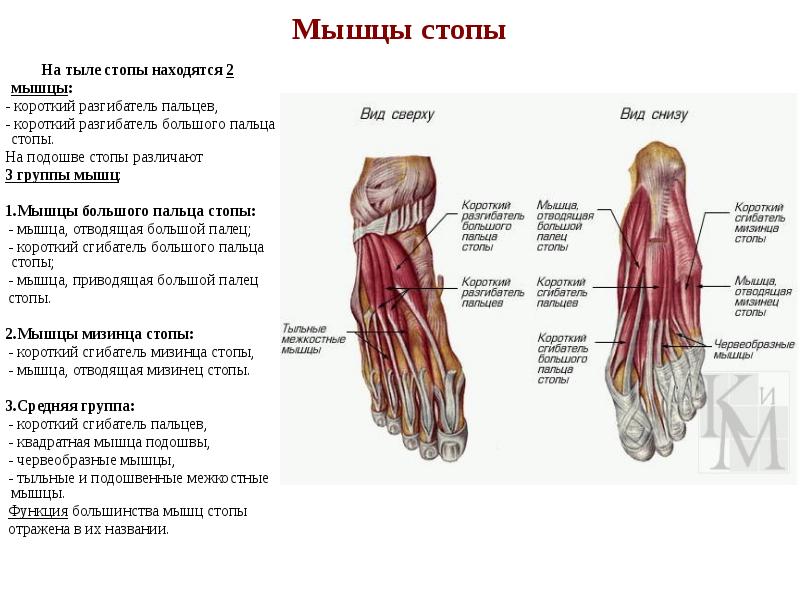  Foto 38