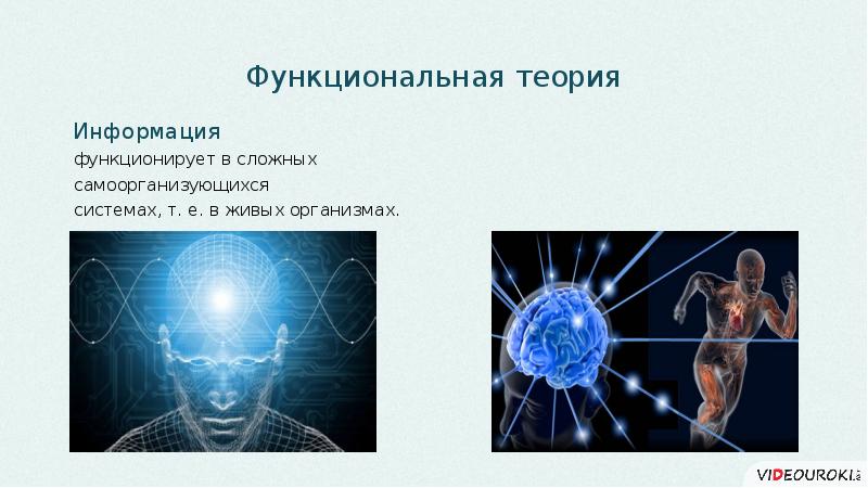 Презентация на тему человек в мире информации