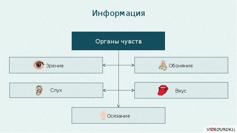 Computer выбери ответ. Что такое информация с точки зрения компьютера выберите ответ.