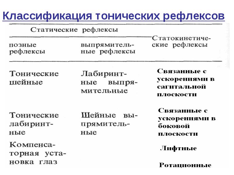 Как сейчас выглядят рефлексы Лекция № 8