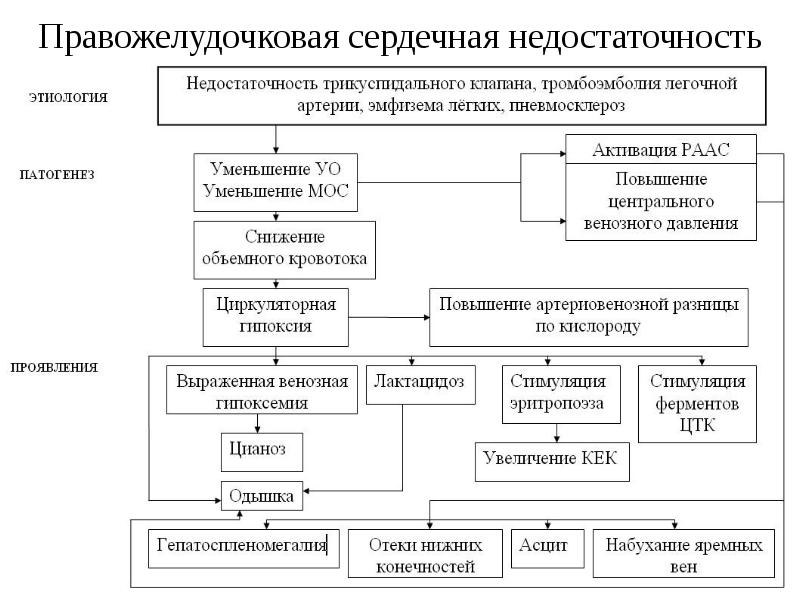 Отек легких патофизиология презентация