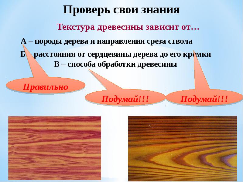 Смены древесных пород презентация