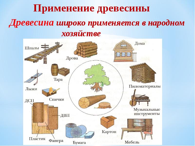 Использовались какой вид. Схема использования древесины. Схема использования древесины при ее переработке. Где используется древесина. Что делают из древесины.