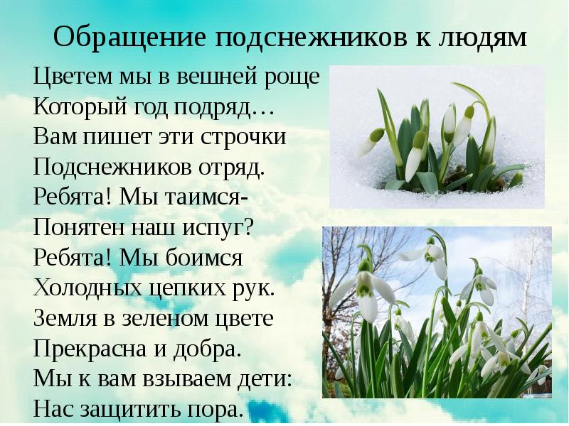 1 класс подснежник презентация