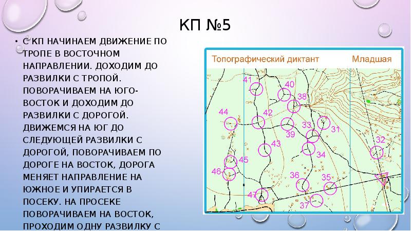 Сообщение о топографе. Реферат о топографе. Топографическая координация это в биологии кратко и понятно.