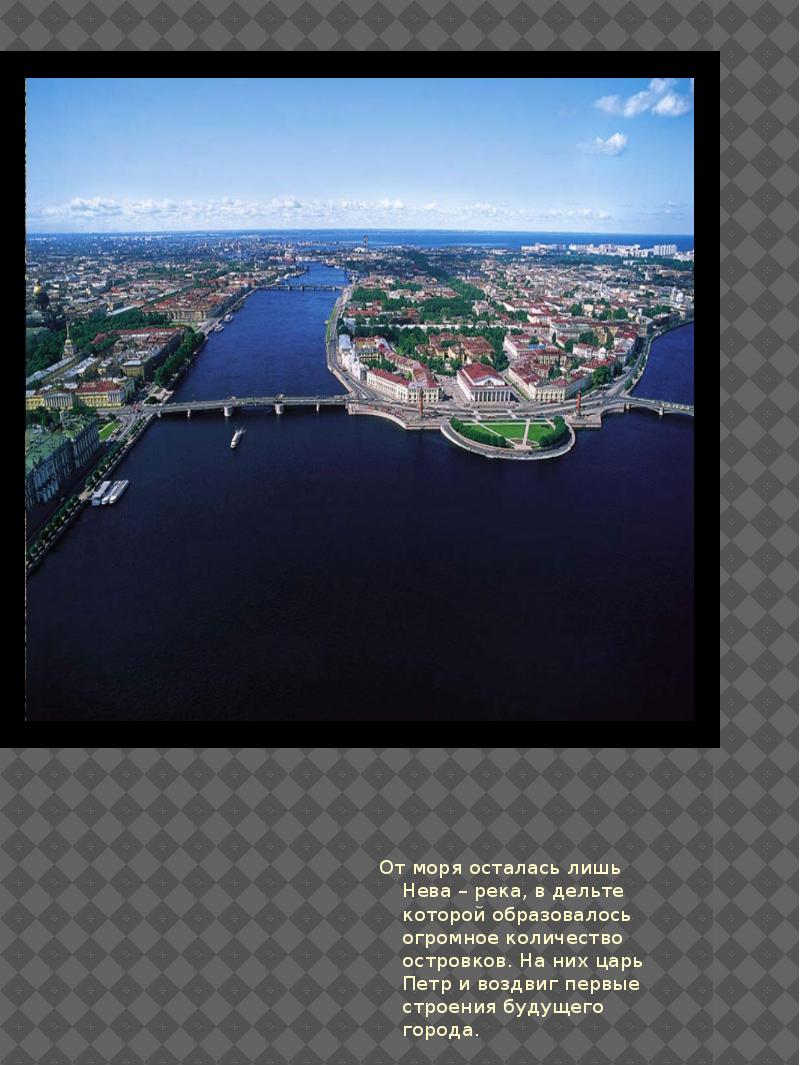 водяная крыса в неве. какие растения и животные реки невы. река нева невский район. растения реки амур. продукты жизнедеятельности флоры и фауны.