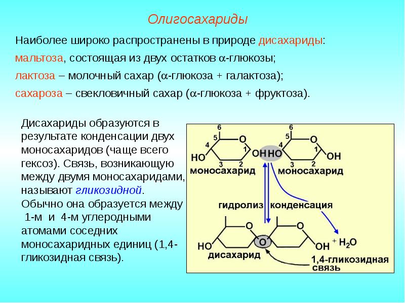 Лактоза презентация по химии