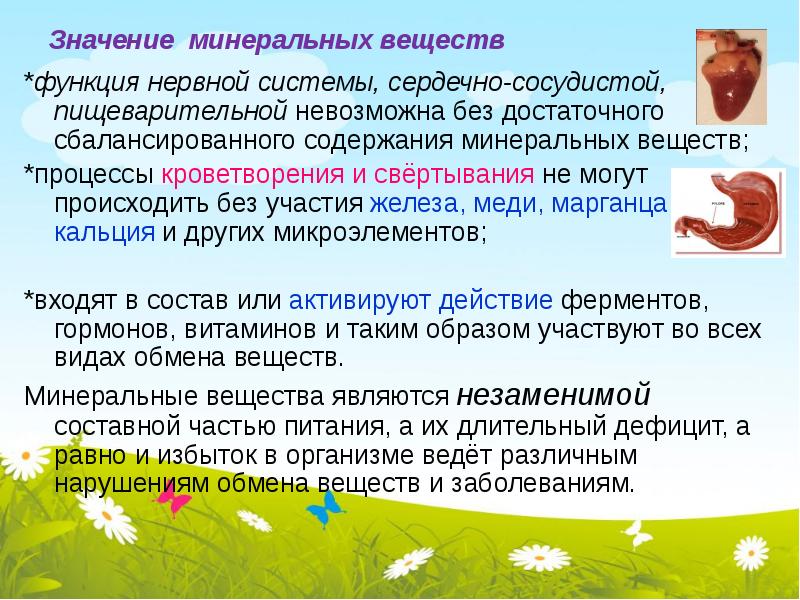 Вещество р функции. Функции минеральных веществ. значение минеральных веществ в кормлении собак. мин значение. вещество р функция.