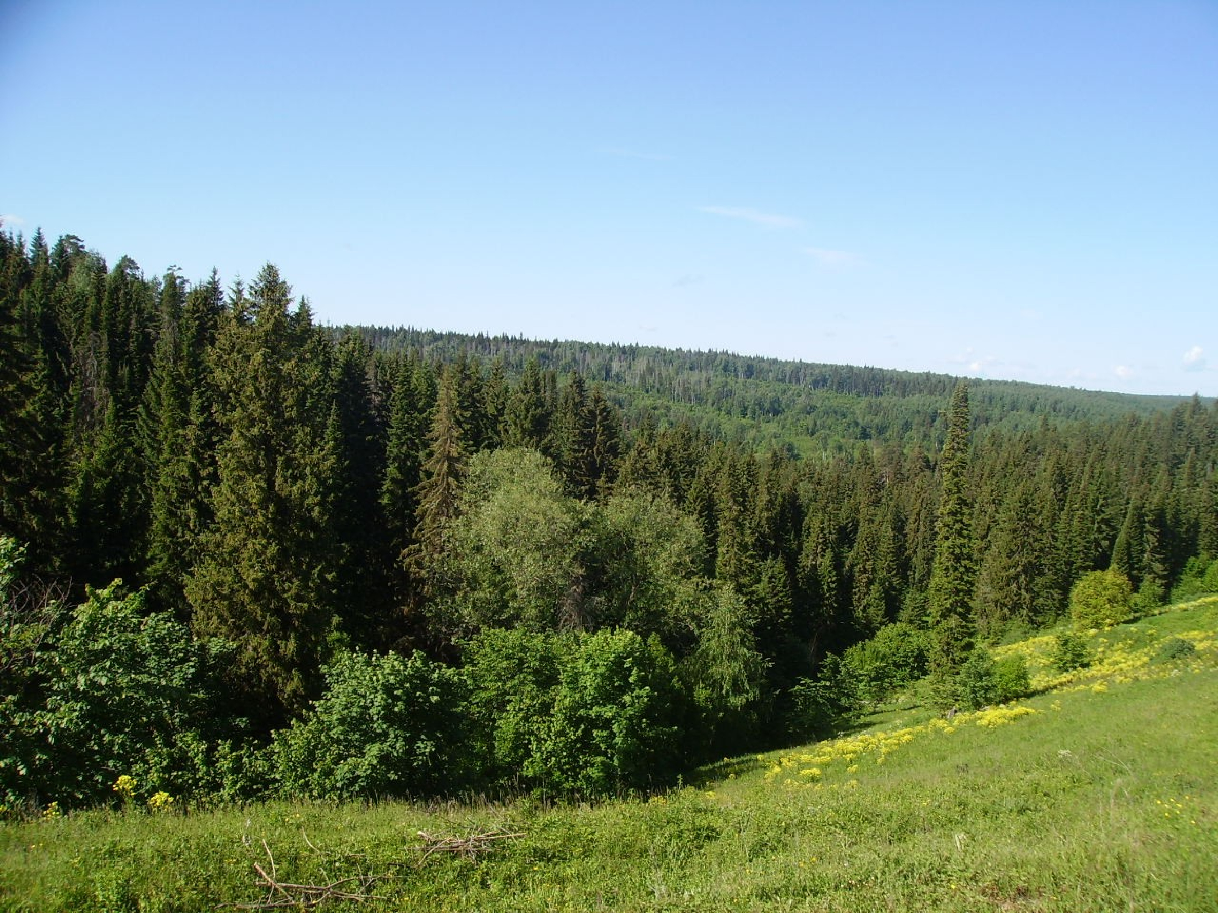 Каменная гора вологодская область