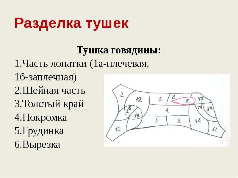 Схема разруба говяжьей туши