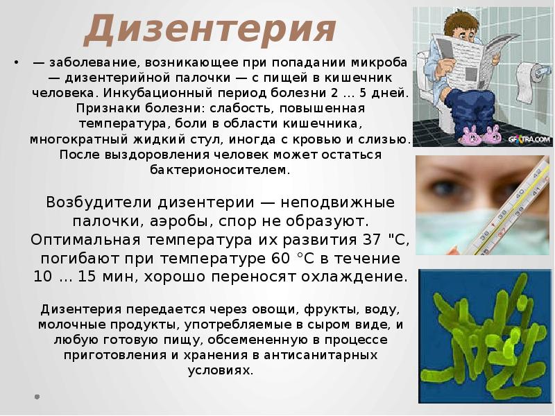 Картина из чбд. Дизентерия. Профилактика болезни дизентерия.